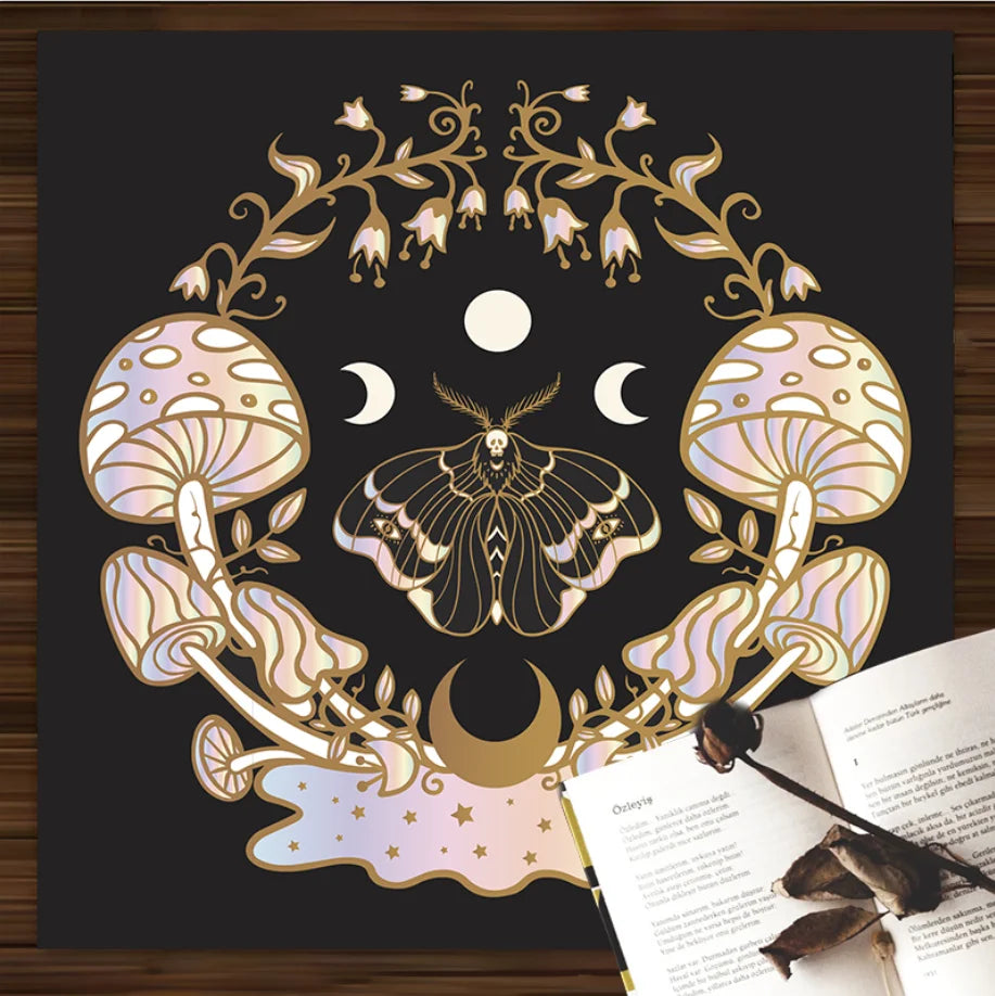 42309323685948|42309323718716