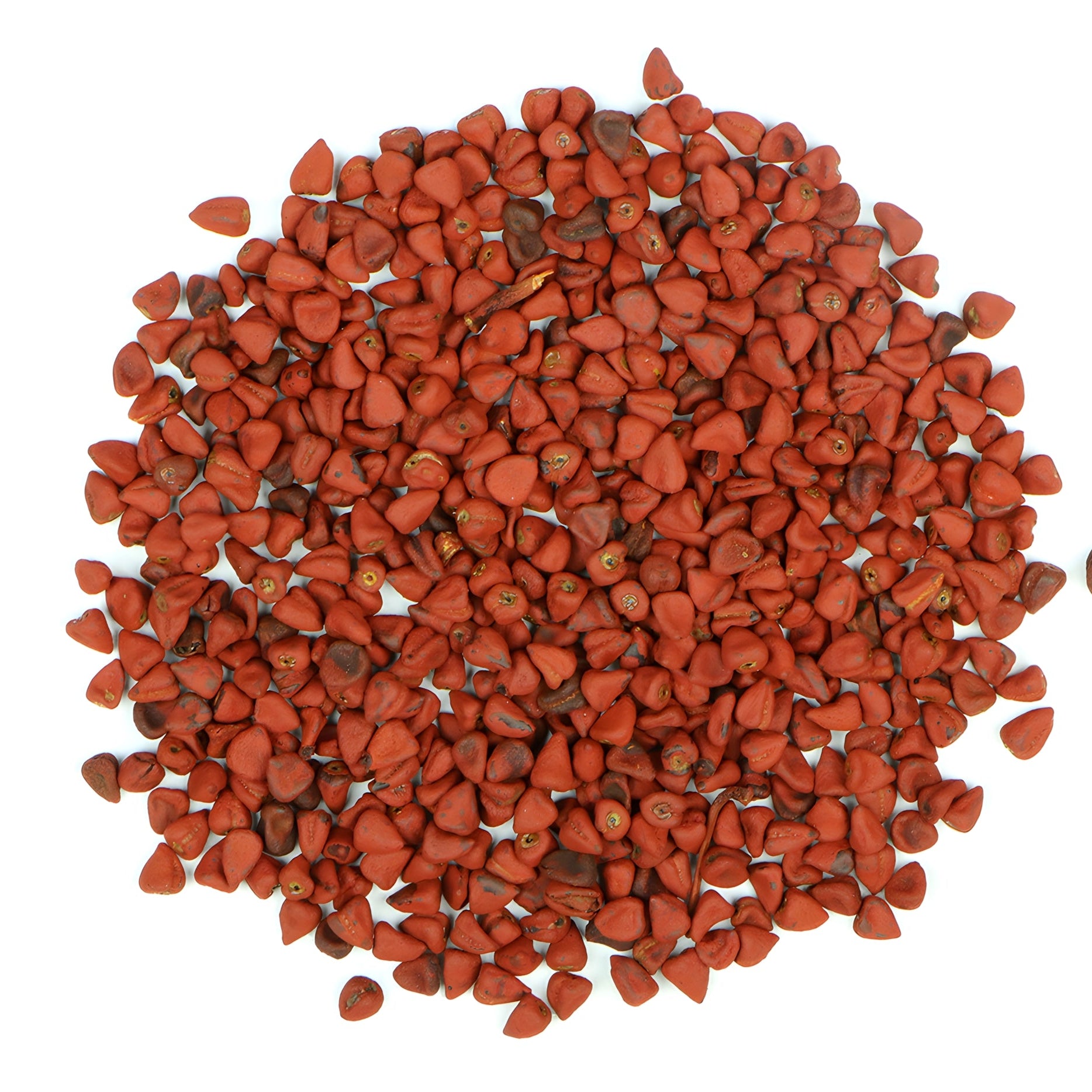 Annatto Seed