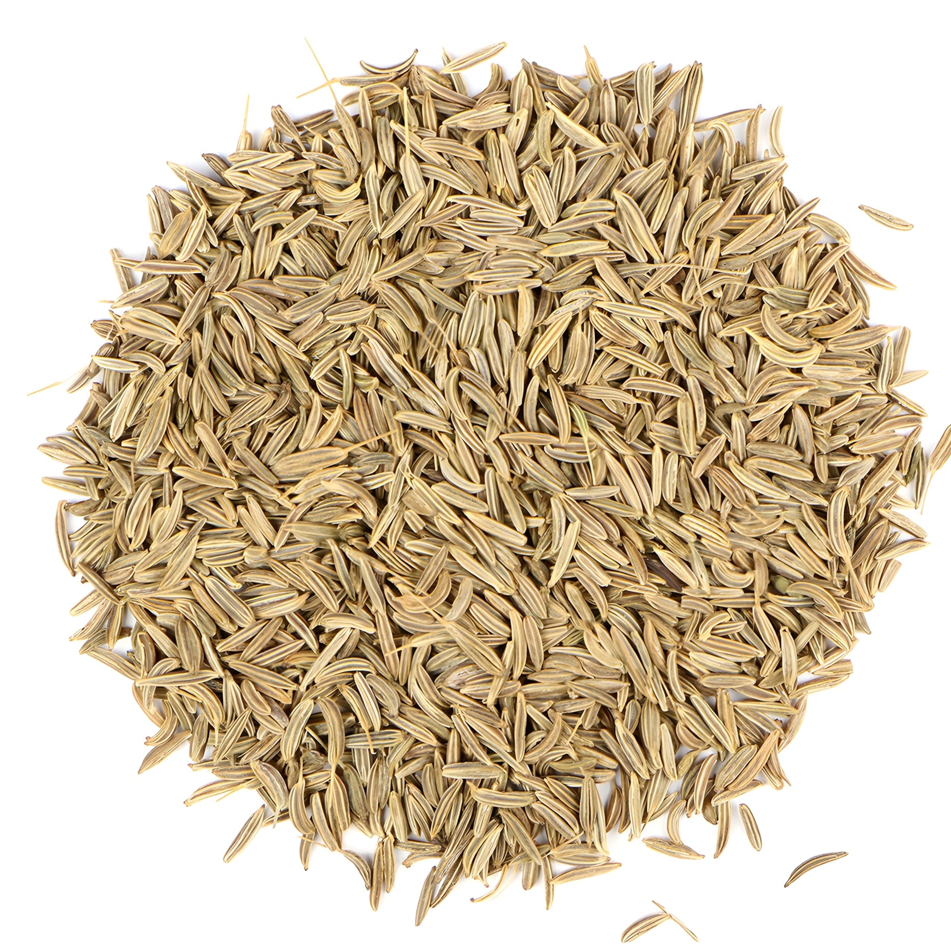 Caraway Seed