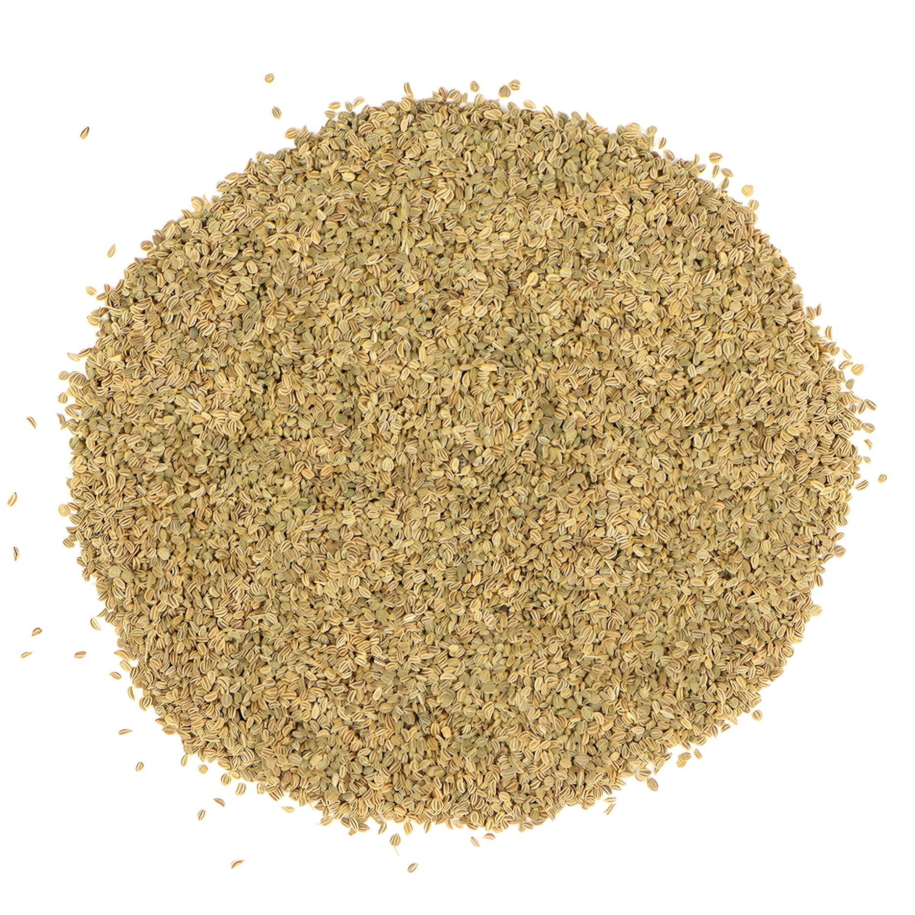 Celery Seed