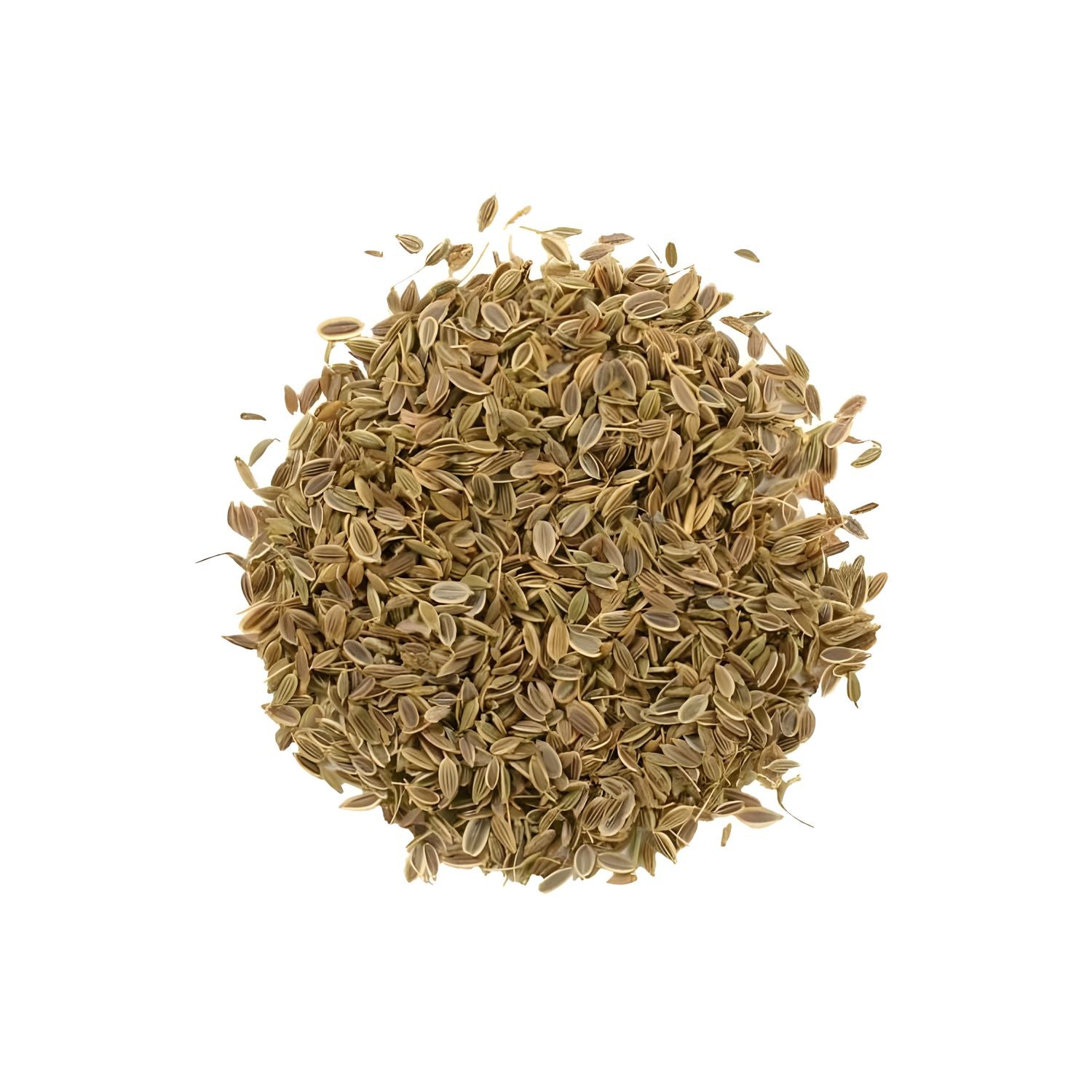 Dill Seed