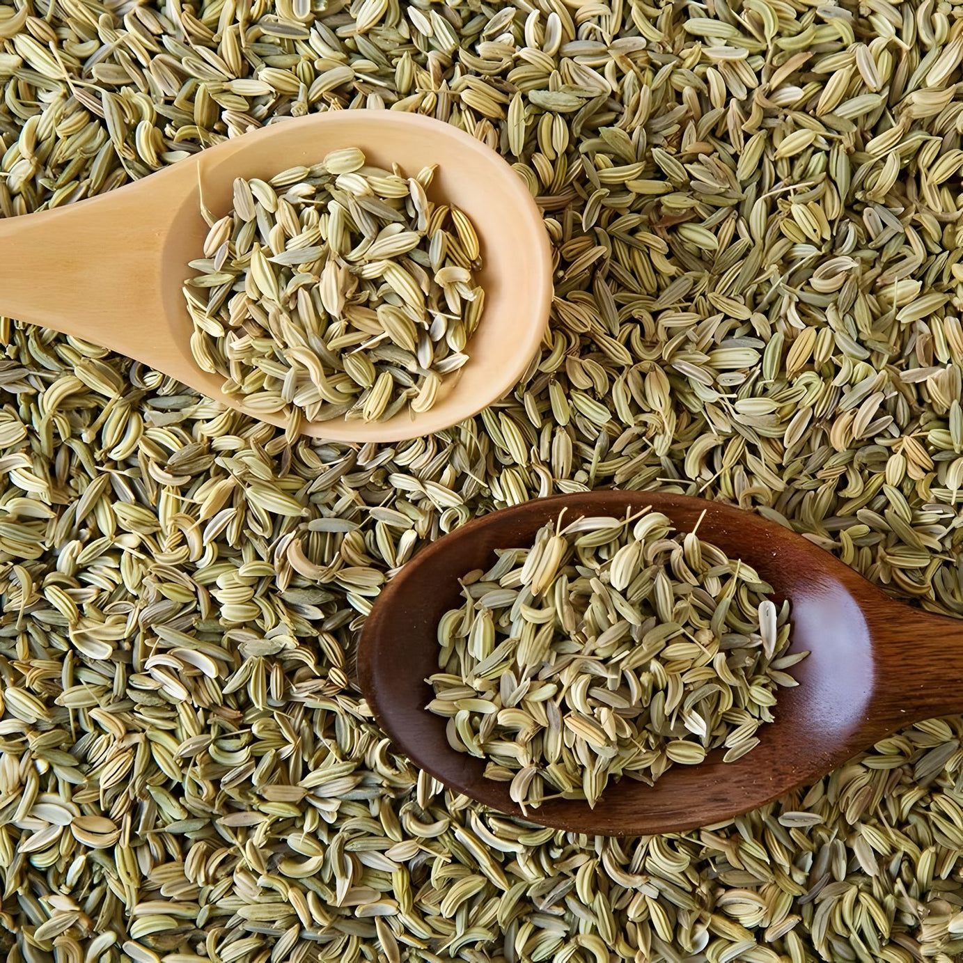 Fennel Seed