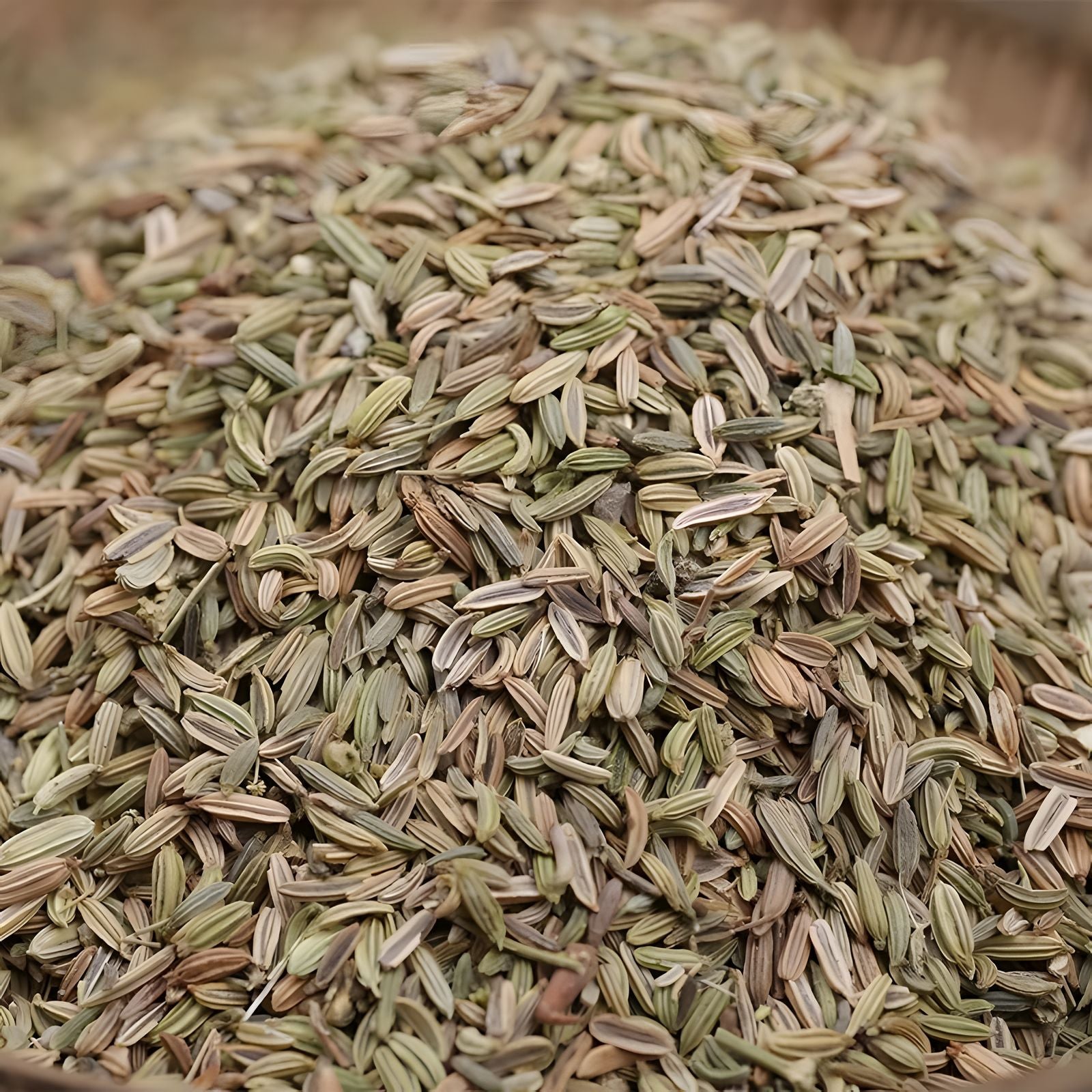 Fennel Seed