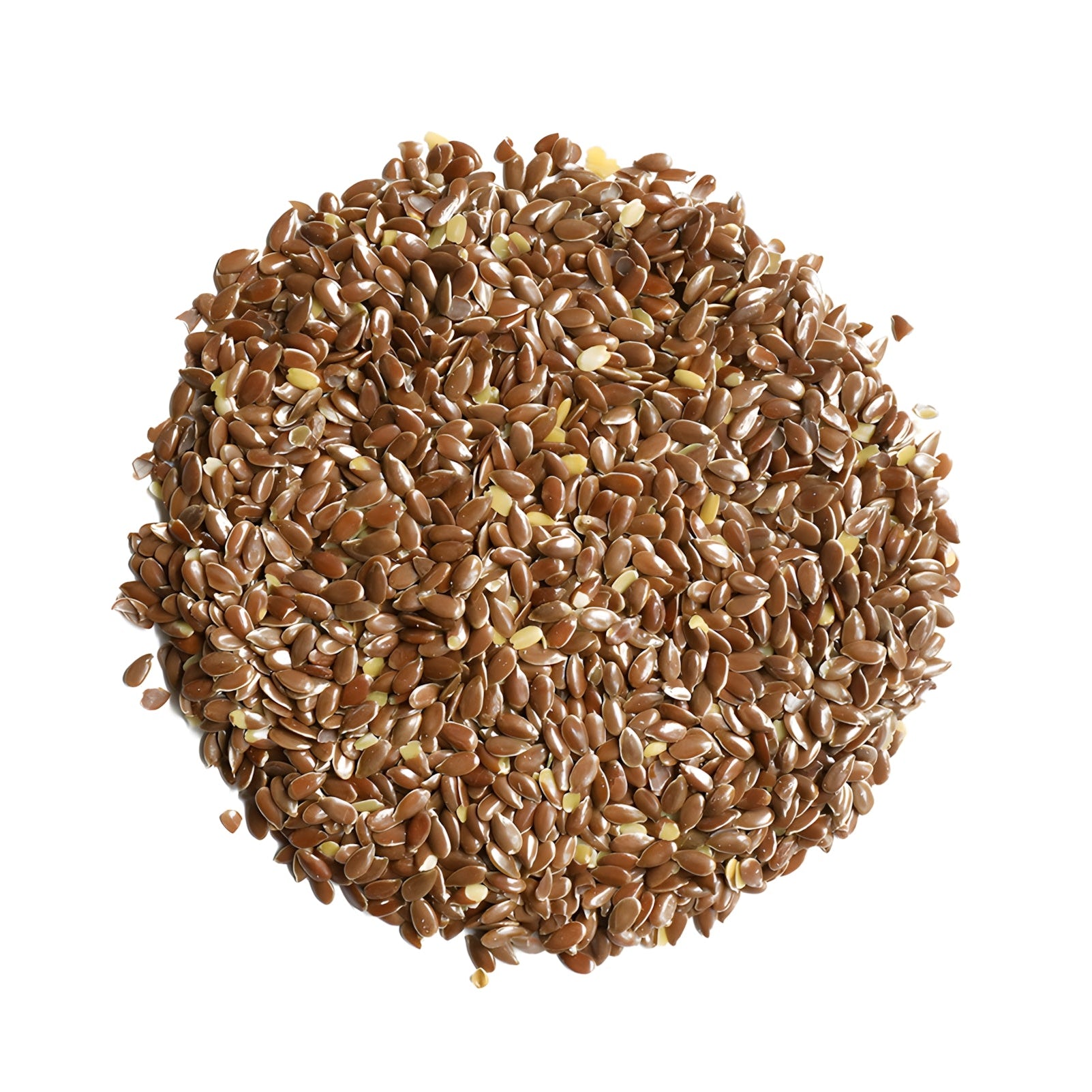 Flax Seed