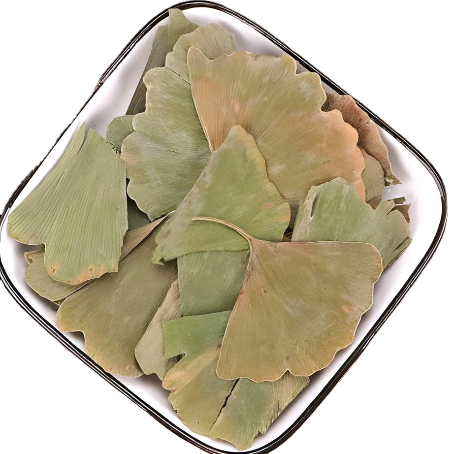 Ginkgo Leaf