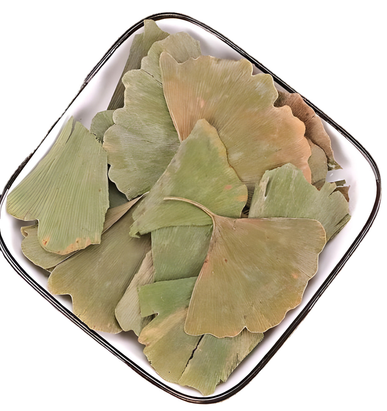 Ginkgo Leaf