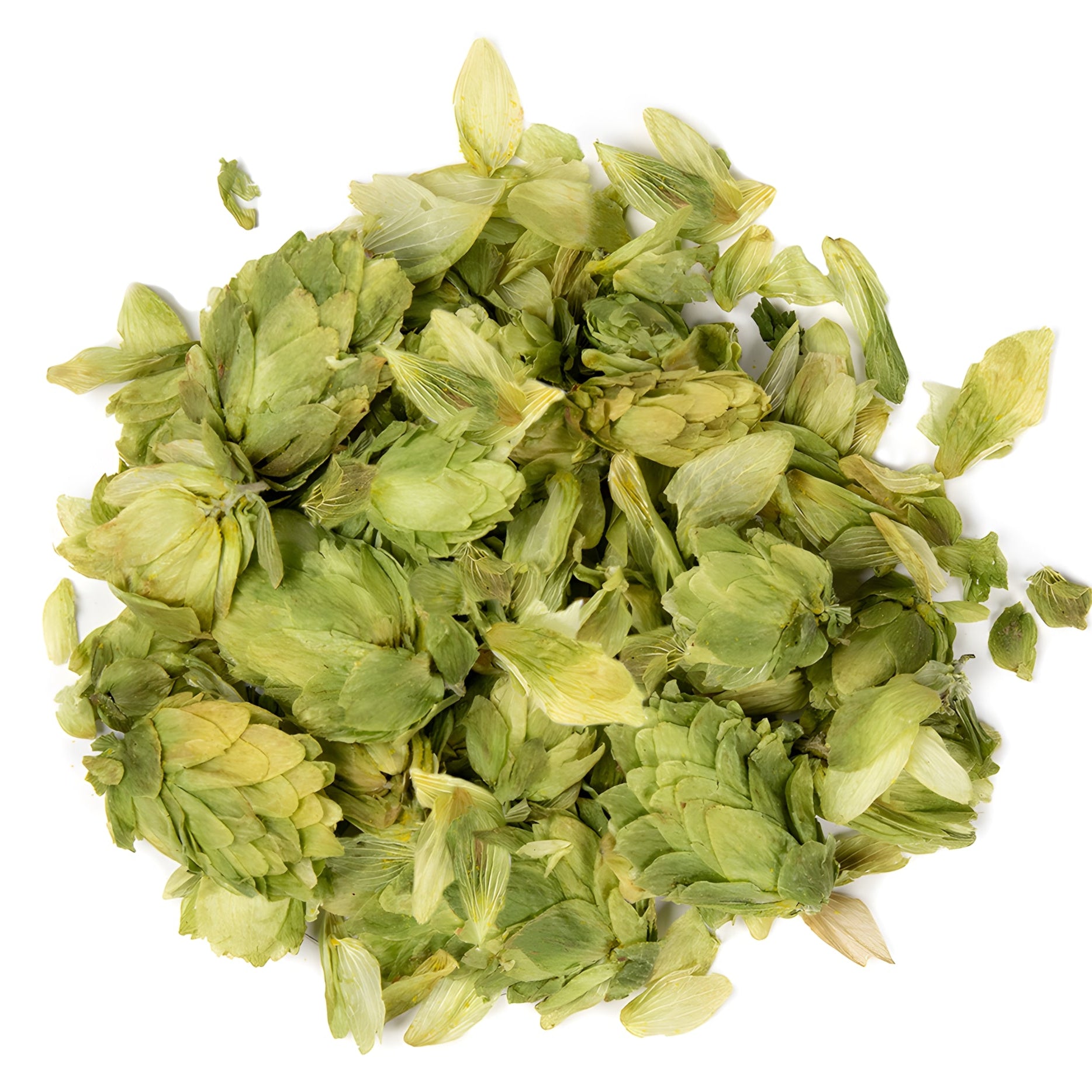 Hops Flowers