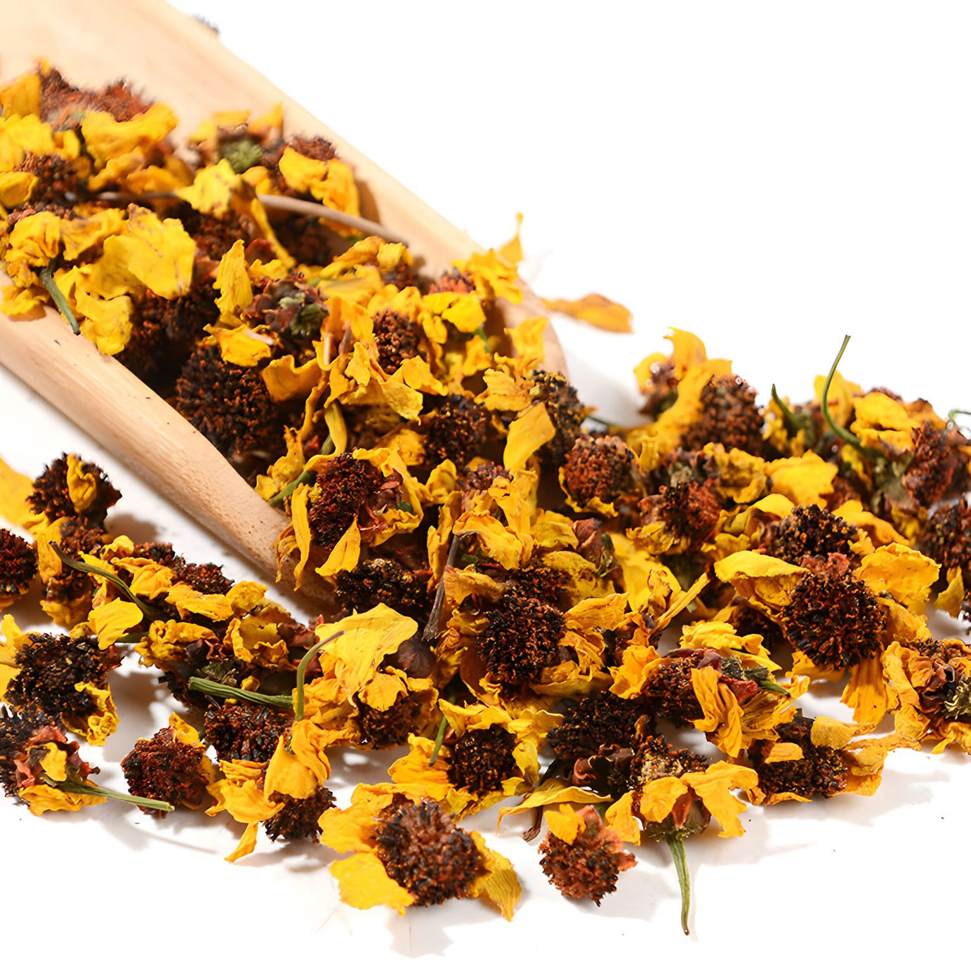 Kunlun Snow Chrysanthemum