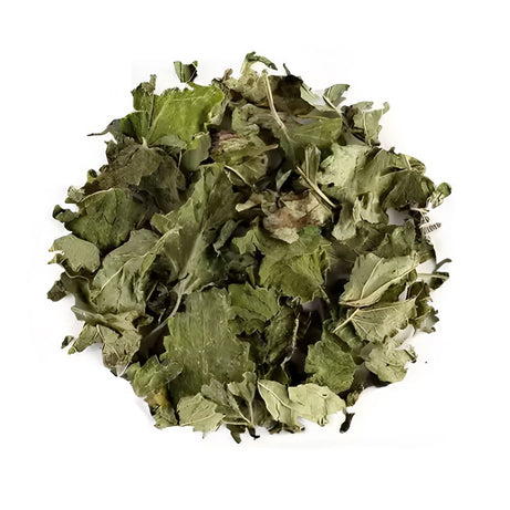 Lemon Balm