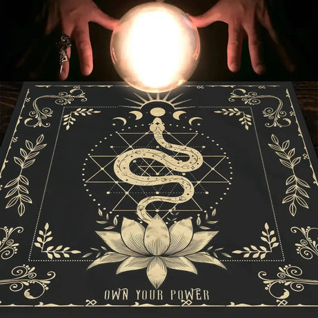 42282526998588|42282527031356