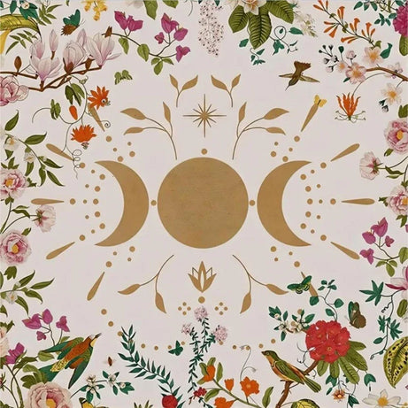 42309326536764|42309326569532|42309326602300|42309326635068