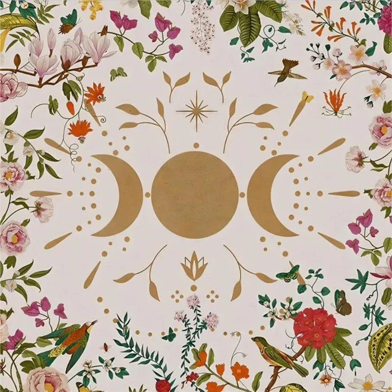 42309326536764|42309326569532|42309326602300|42309326635068