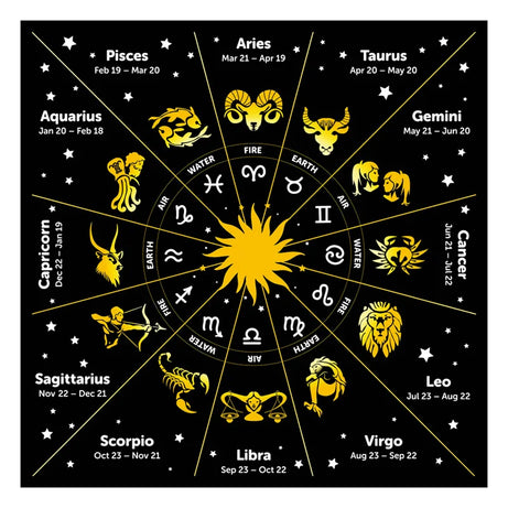 42309321818172|42309321916476