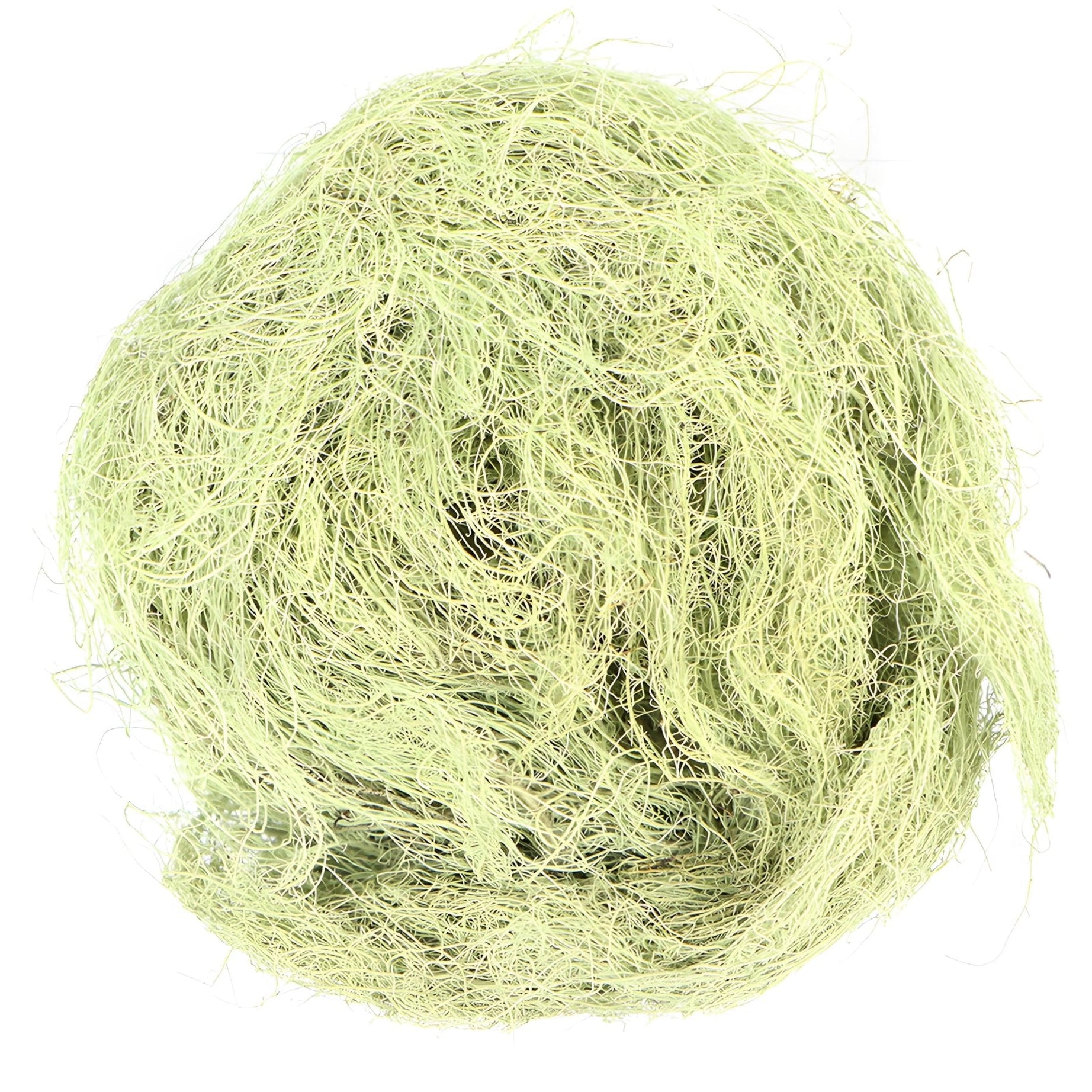 Usnea