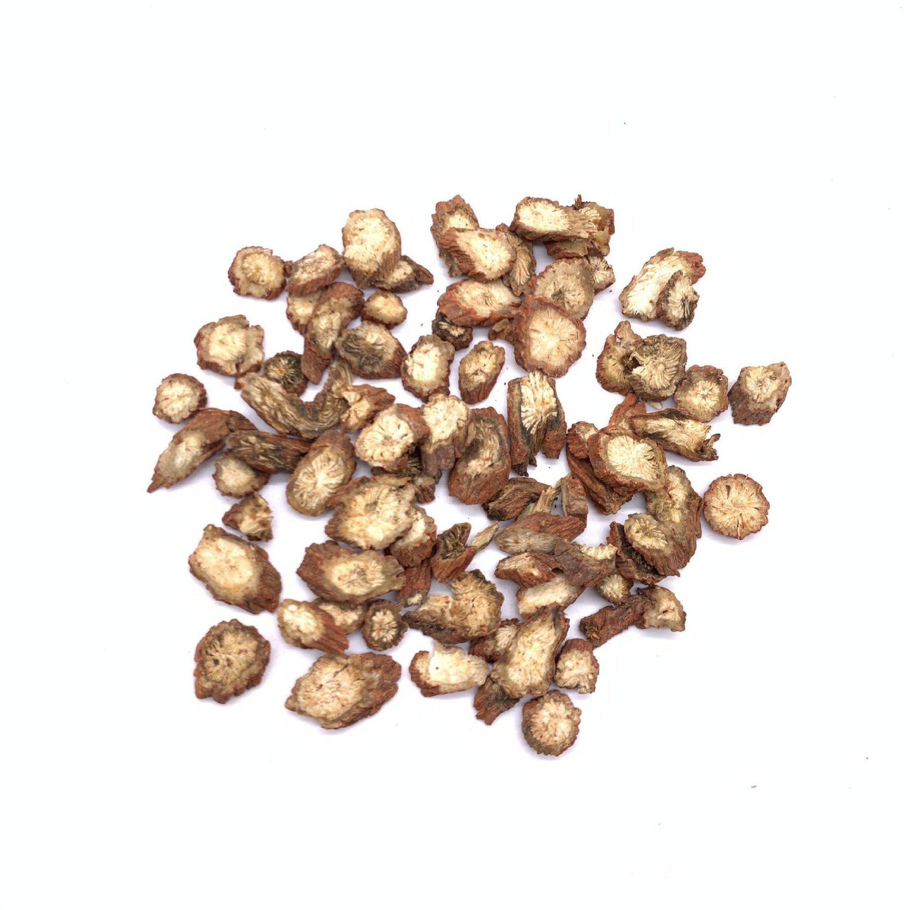 Red Sage Root
